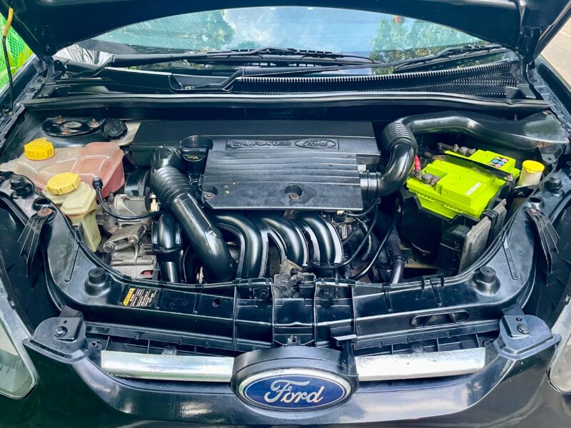2010 July Ford Figo ZXi (Petrol)